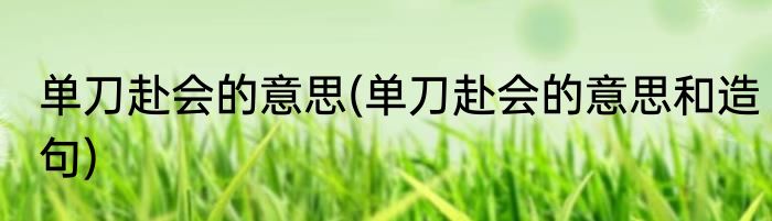 单刀赴会的意思(单刀赴会的意思和造句)