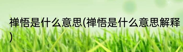 禅悟是什么意思(禅悟是什么意思解释)