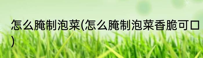 怎么腌制泡菜(怎么腌制泡菜香脆可口)