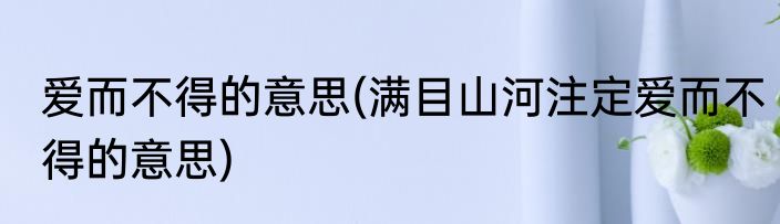 爱而不得的意思(满目山河注定爱而不得的意思)