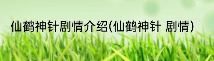 仙鹤神针剧情介绍(仙鹤神针 剧情)
