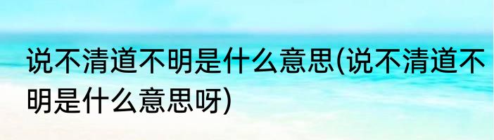 说不清道不明是什么意思(说不清道不明是什么意思呀)
