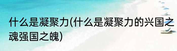 什么是凝聚力(什么是凝聚力的兴国之魂强国之魄)