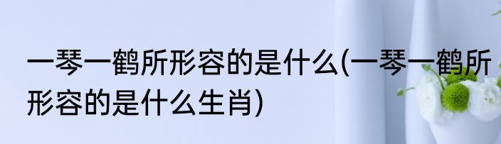 一琴一鹤所形容的是什么(一琴一鹤所形容的是什么生肖)