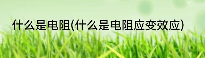 什么是电阻(什么是电阻应变效应)