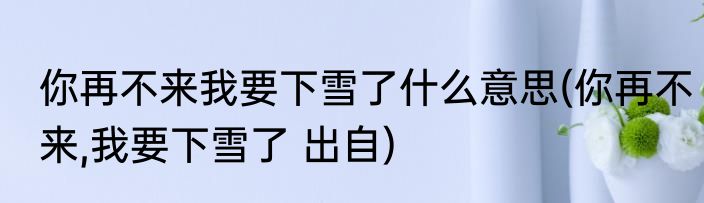 你再不来我要下雪了什么意思(你再不来,我要下雪了 出自)