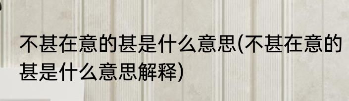 不甚在意的甚是什么意思(不甚在意的甚是什么意思解释)