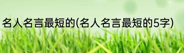 小兔子的特点(小兔子的特点和外貌)