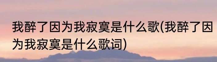 我醉了因为我寂寞是什么歌(我醉了因为我寂寞是什么歌词)