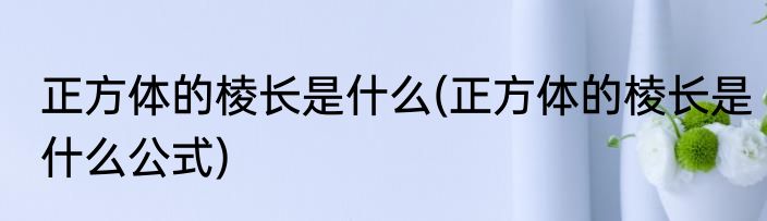 正方体的棱长是什么(正方体的棱长是什么公式)