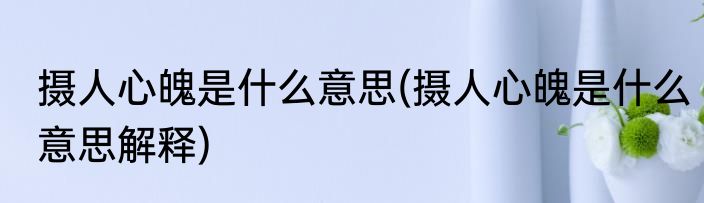 摄人心魄是什么意思(摄人心魄是什么意思解释)