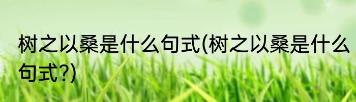 树之以桑是什么句式(树之以桑是什么句式?)