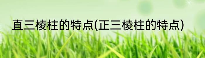 直三棱柱的特点(正三棱柱的特点)