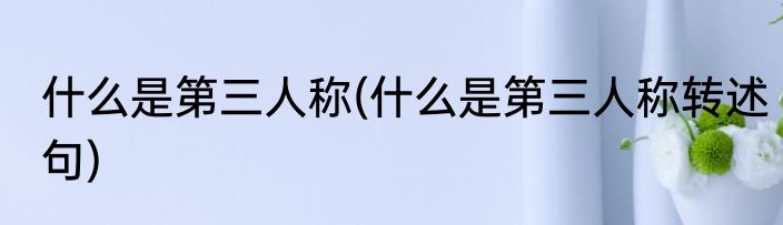 什么是第三人称(什么是第三人称转述句)