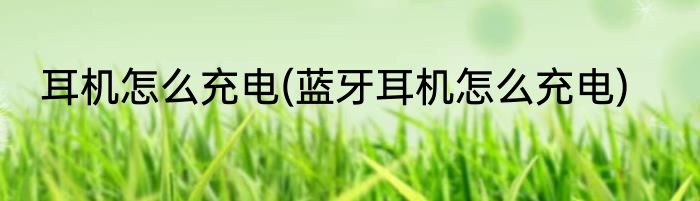 耳机怎么充电(蓝牙耳机怎么充电)