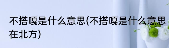 不搭嘎是什么意思(不搭嘎是什么意思在北方)