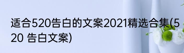 适合520告白的文案2021精选合集(520 告白文案)