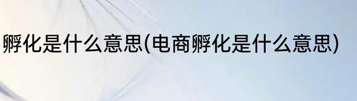 孵化是什么意思(电商孵化是什么意思)