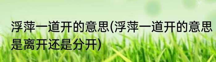 浮萍一道开的意思(浮萍一道开的意思是离开还是分开)