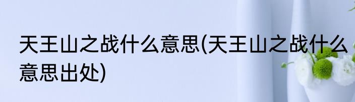 天王山之战什么意思(天王山之战什么意思出处)