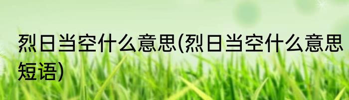 烈日当空什么意思(烈日当空什么意思短语)