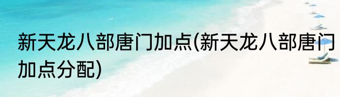 新天龙八部唐门加点(新天龙八部唐门加点分配)