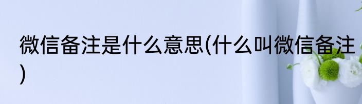 微信备注是什么意思(什么叫微信备注)