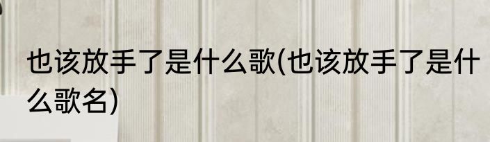 也该放手了是什么歌(也该放手了是什么歌名)