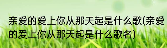 亲爱的爱上你从那天起是什么歌(亲爱的爱上你从那天起是什么歌名)