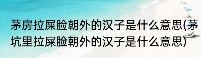 茅房拉屎脸朝外的汉子是什么意思(茅坑里拉屎脸朝外的汉子是什么意思)