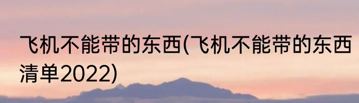 飞机不能带的东西(飞机不能带的东西清单2022)