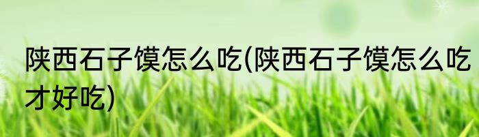 陕西石子馍怎么吃(陕西石子馍怎么吃才好吃)