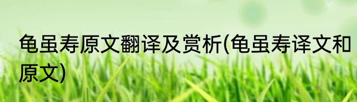 龟虽寿原文翻译及赏析(龟虽寿译文和原文)