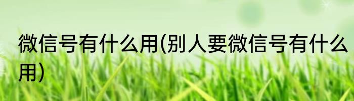 微信号有什么用(别人要微信号有什么用)