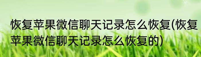 恢复苹果微信聊天记录怎么恢复(恢复苹果微信聊天记录怎么恢复的)