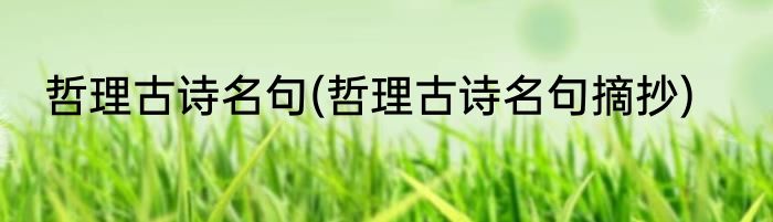 哲理古诗名句(哲理古诗名句摘抄)