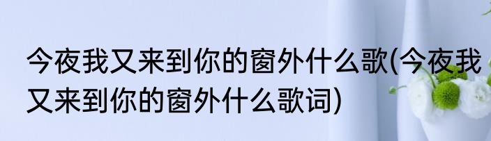 今夜我又来到你的窗外什么歌(今夜我又来到你的窗外什么歌词)