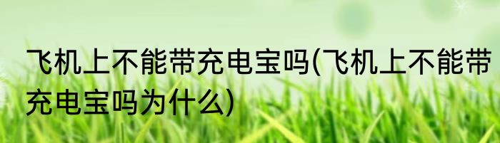 飞机上不能带充电宝吗(飞机上不能带充电宝吗为什么)