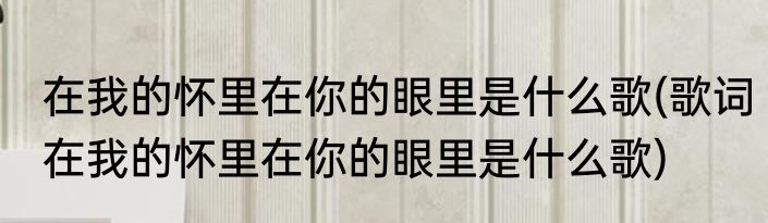 在我的怀里在你的眼里是什么歌(歌词在我的怀里在你的眼里是什么歌)