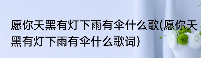 愿你天黑有灯下雨有伞什么歌(愿你天黑有灯下雨有伞什么歌词)