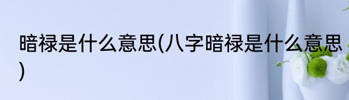 暗禄是什么意思(八字暗禄是什么意思)