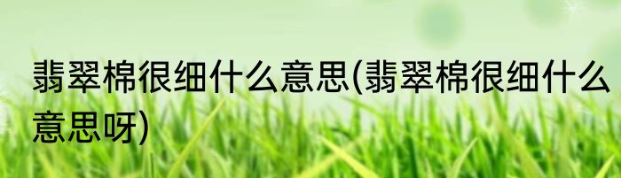 翡翠棉很细什么意思(翡翠棉很细什么意思呀)