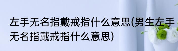 左手无名指戴戒指什么意思(男生左手无名指戴戒指什么意思)