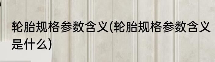 轮胎规格参数含义(轮胎规格参数含义是什么)