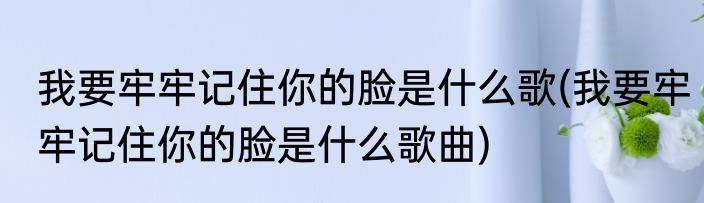 我要牢牢记住你的脸是什么歌(我要牢牢记住你的脸是什么歌曲)