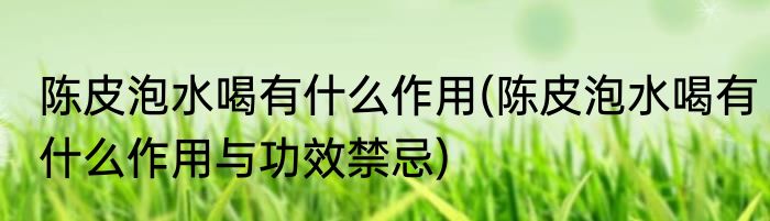 陈皮泡水喝有什么作用(陈皮泡水喝有什么作用与功效禁忌)