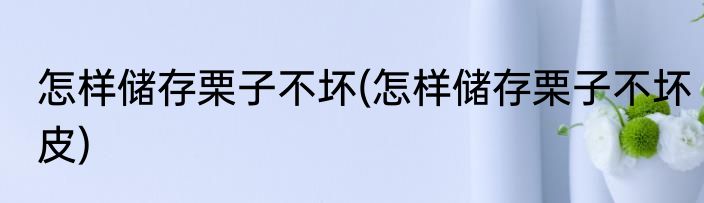 怎样储存栗子不坏(怎样储存栗子不坏皮)