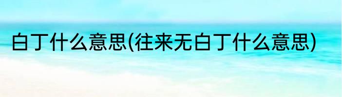 白丁什么意思(往来无白丁什么意思)