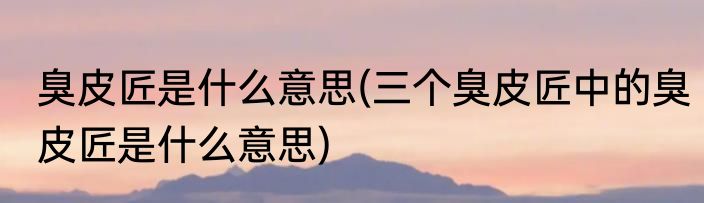 臭皮匠是什么意思(三个臭皮匠中的臭皮匠是什么意思)