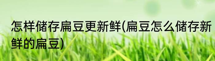 怎样储存扁豆更新鲜(扁豆怎么储存新鲜的扁豆)